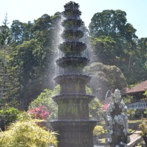 a water fountain surrounded by plants and trees