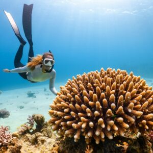 a scuba diver swims over a coral reef