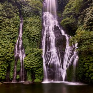 a waterfall in the middle of a lush green forest